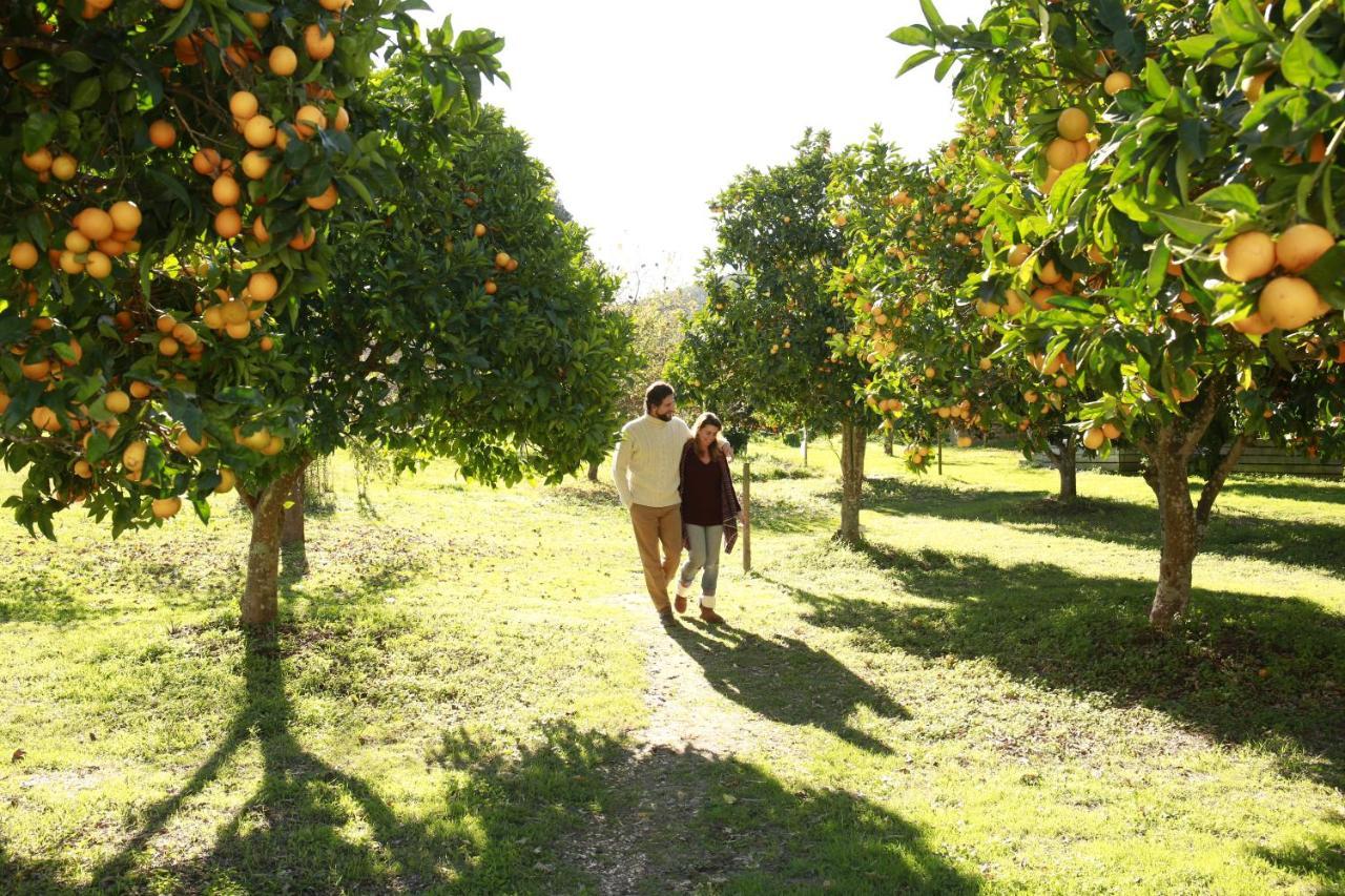 Herdade Da Matinha Country House & Restaurant Cercal do Alentejo Exterior foto